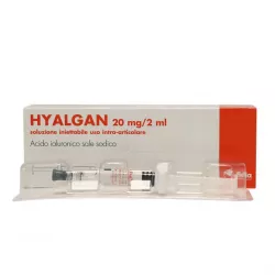 Гиалган Фидия (Hyalgan Fidia) / Гиалганбио шприц 2мл 20мг 1шт в Новосибирске и области фото